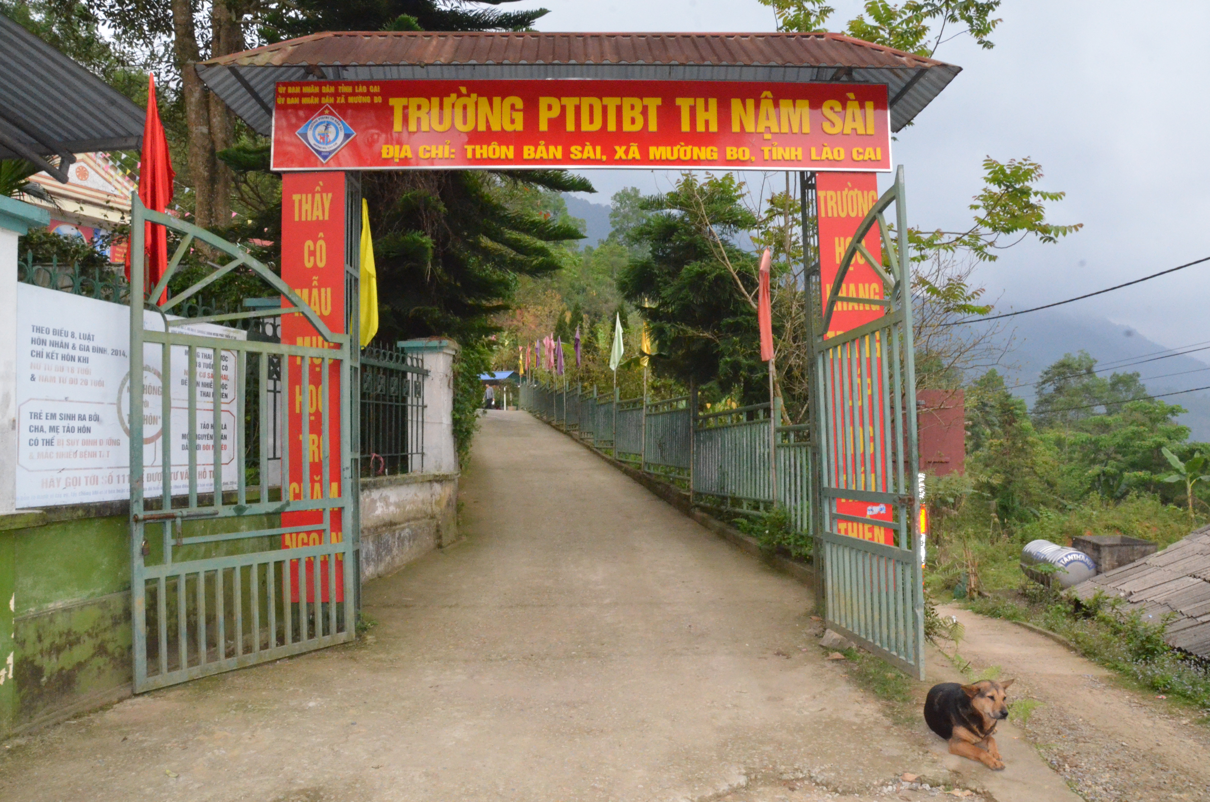 Trường tiểu học Nậm Sài